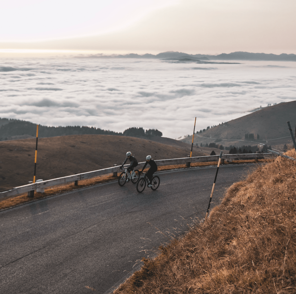 The Evolution of Road Cycling: Growth, Inclusion & UDOG’s Commitment to Innovation - UDOG