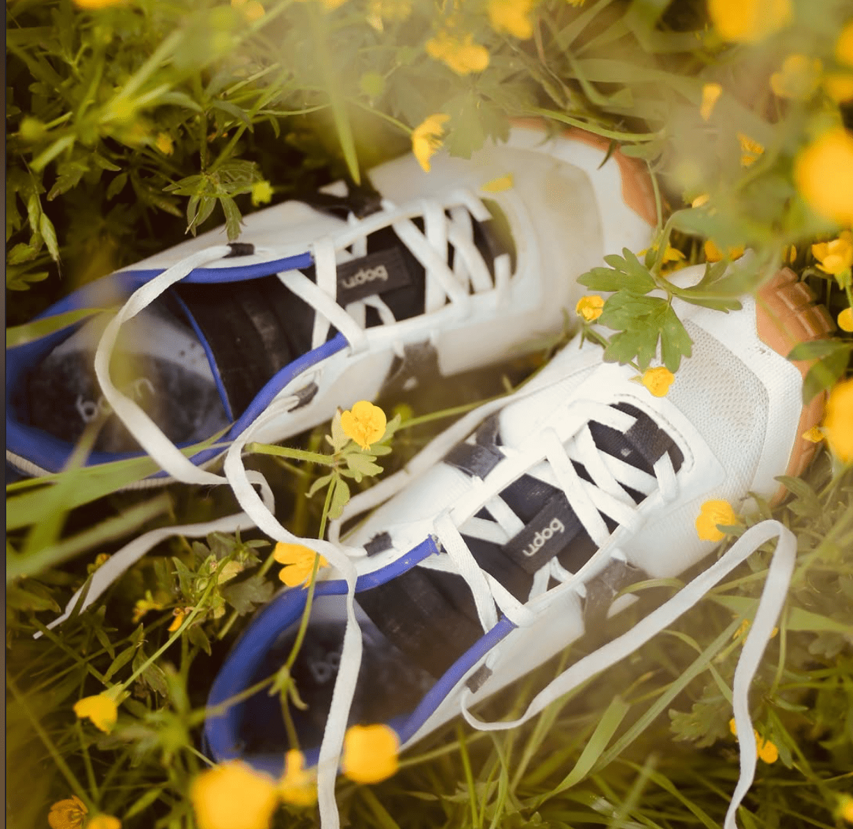 White UDOG shoes among wildflowers